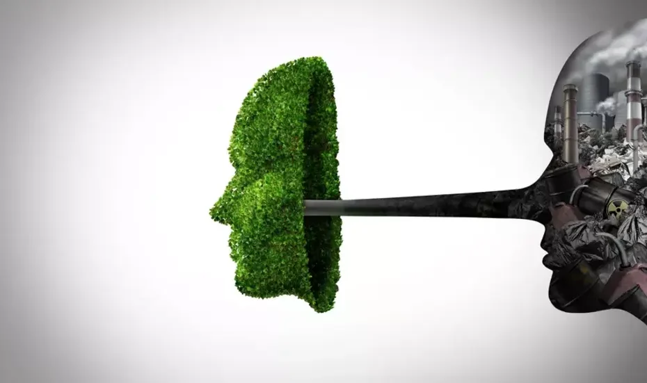 Greenwashing
